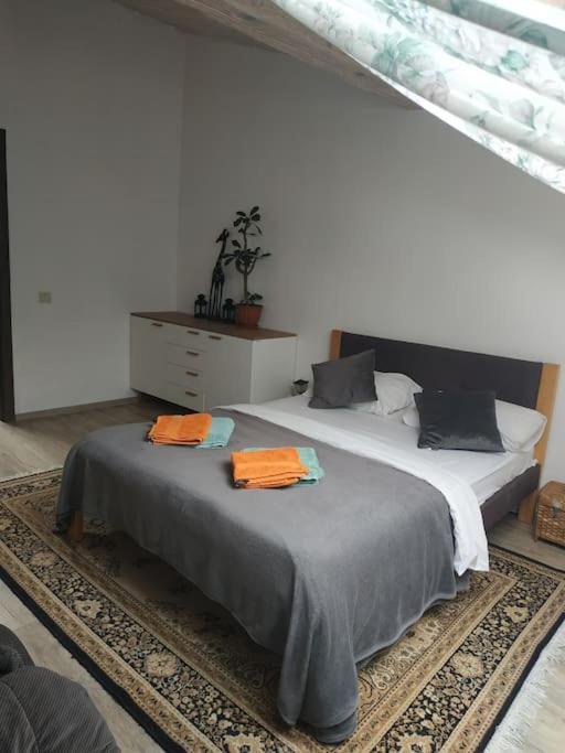 центр біля оперного театру однокімнатні з кухня-студія Apartment Lviv