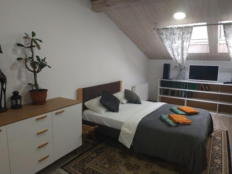 Apartament центр біля оперного театру однокімнатні з кухня-студія